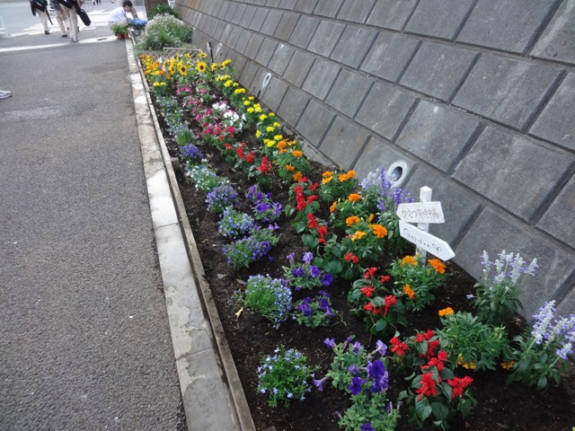 http://www.ariake.kaetsu.ac.jp/club/tennis/DSC05666.JPG