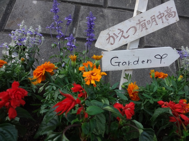 http://www.ariake.kaetsu.ac.jp/club/tennis/DSC05669.JPG