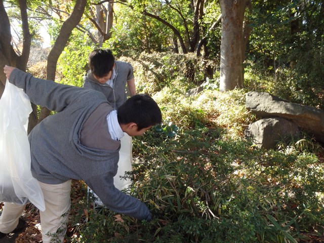 http://www.ariake.kaetsu.ac.jp/club/tennis/PC170037.JPG