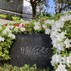 画像用（メニュー内に画像を表示させるためのものです）