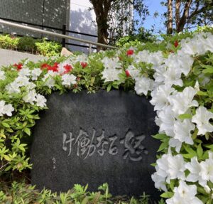 画像用（メニュー内に画像を表示させるためのものです）