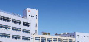 画像用（メニュー内に画像を表示させるためのものです）